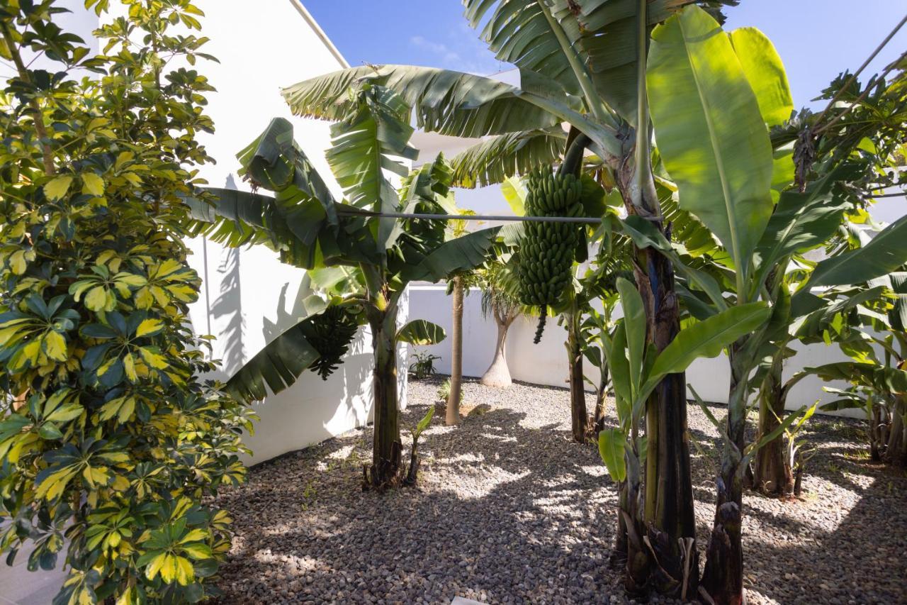 Home2Book Amazing Santa Ursula, Sea Views & Terrace Buitenkant foto