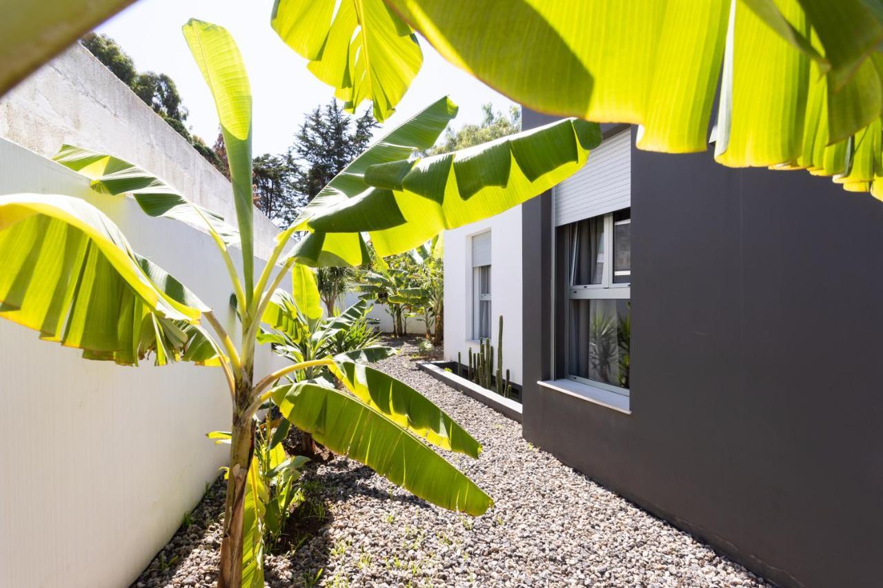 Home2Book Amazing Santa Ursula, Sea Views & Terrace Buitenkant foto